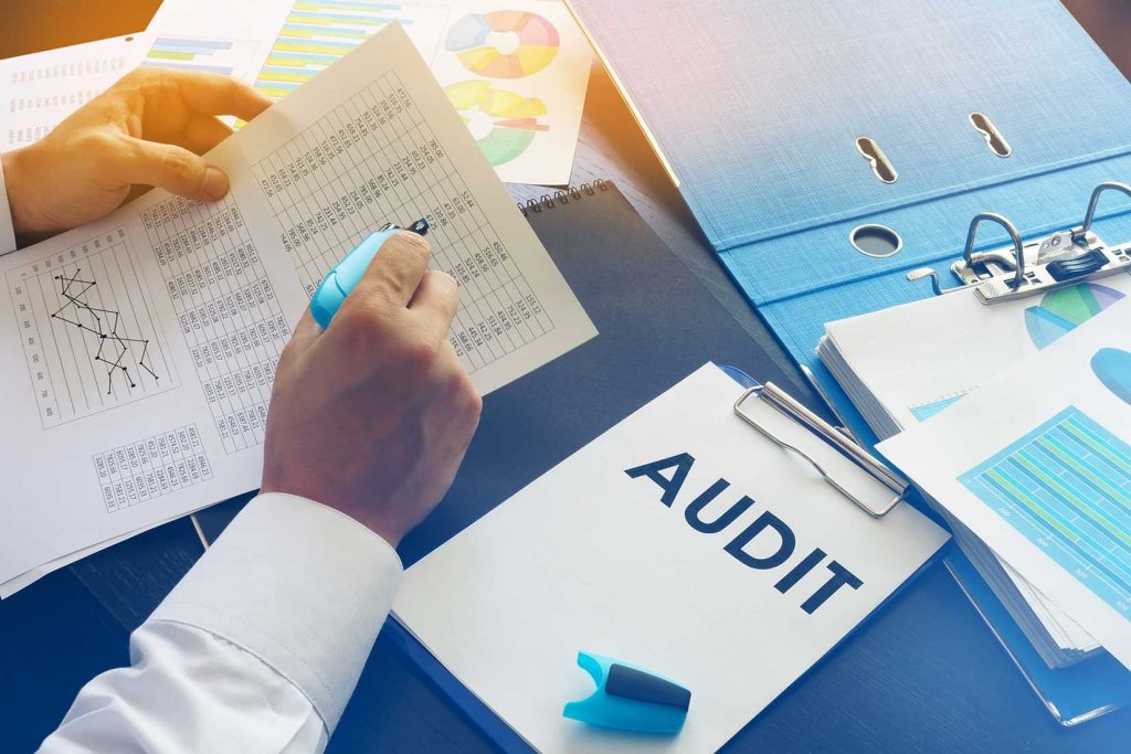 Internal Financial Audit